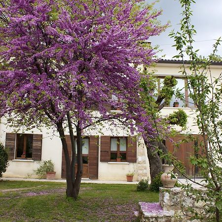 B&B Alte Paderno del Grappa Exteriör bild