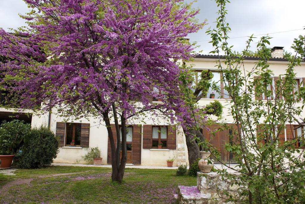 B&B Alte Paderno del Grappa Exteriör bild